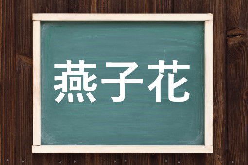 燕子花の読み方と意味 かきつばた と えんしばな 正しいのは