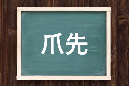 爪先の読み方と意味 つまさき と つめさき 正しいのは