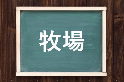 牧場の読み方と意味 ぼくじょう と まきば 正しいのは