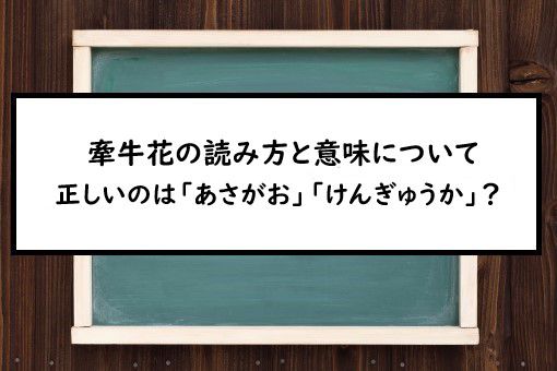 牽牛花の読み方と意味 あさがお と けんぎゅうか 正しいのは