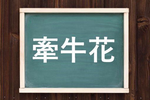 牽牛花の読み方と意味 あさがお と けんぎゅうか 正しいのは