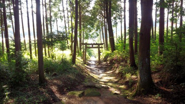 産土の読み方と意味 さんど と うぶすな 正しいのは