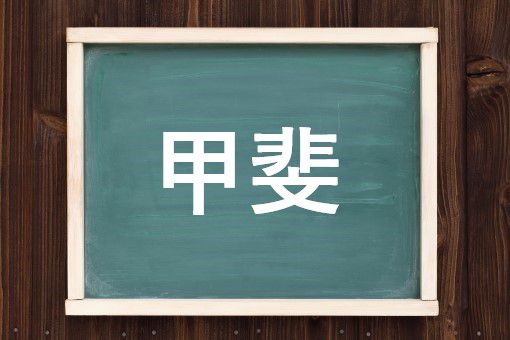 甲斐の読み方と意味 かい と こうひ 正しいのは