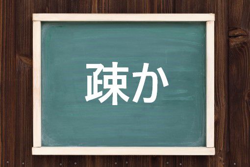疎か