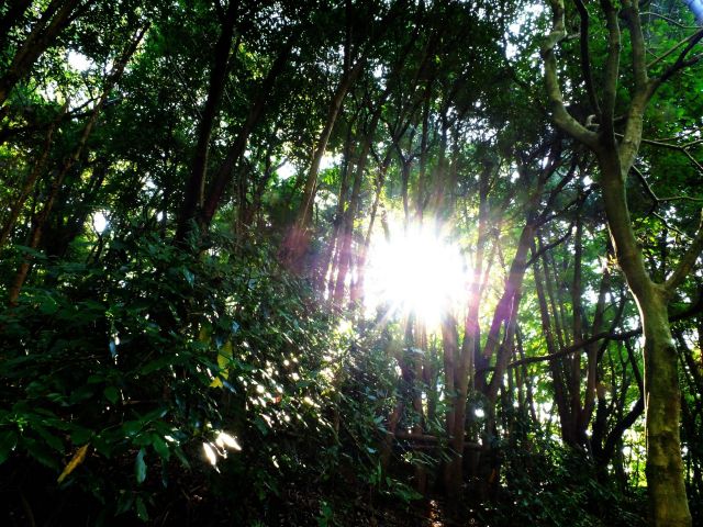 発端の読み方と意味、「ほったん」と「はったん」正しいのは?