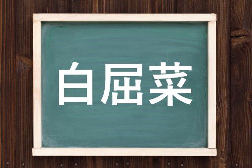 白屈菜の読み方と意味 くさのおう と はっくつさい 正しいのは