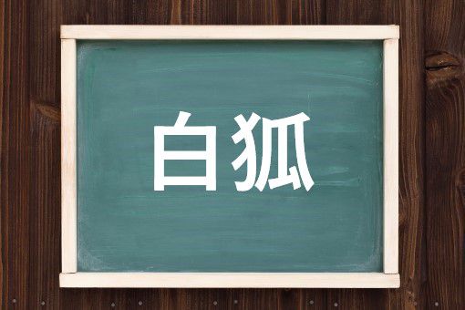 白狐の読み方と意味 びゃっこ と しろぎつね 正しいのは