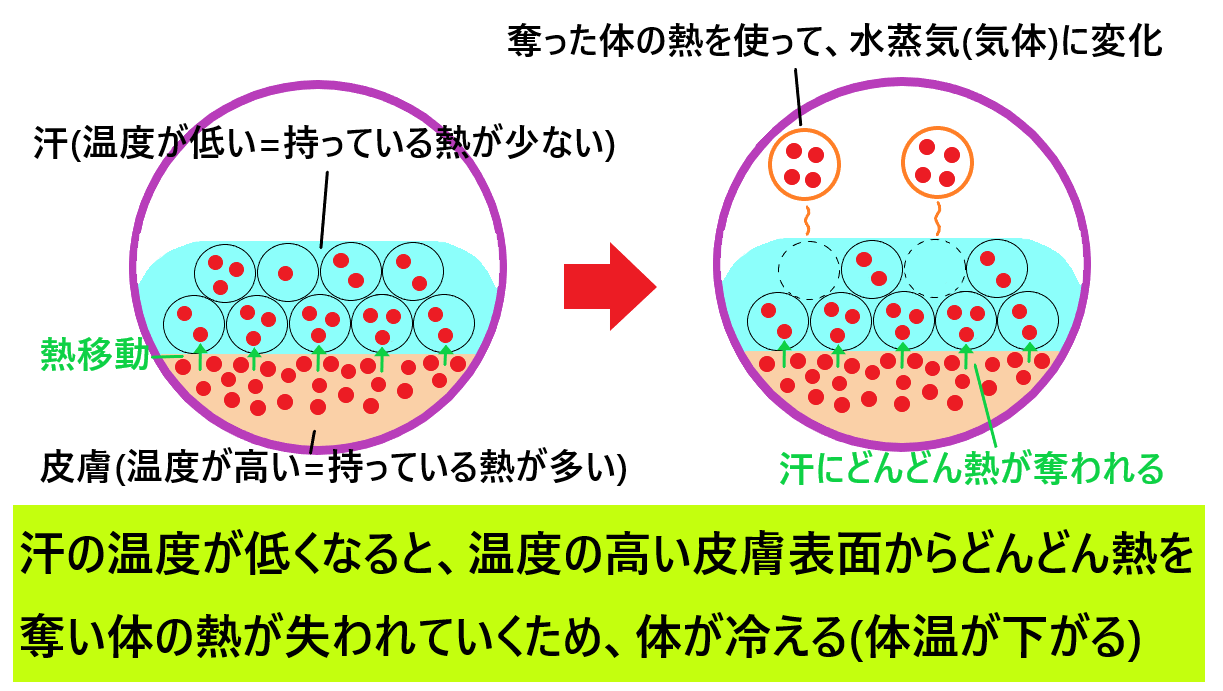 気化熱(蒸発熱)とは？気化熱で冷える仕組みをわかりやすく図で解説！