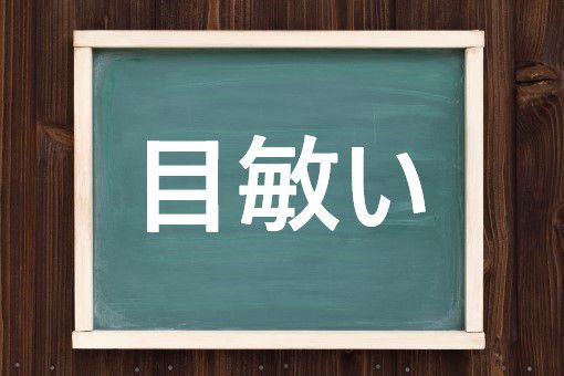 目敏い