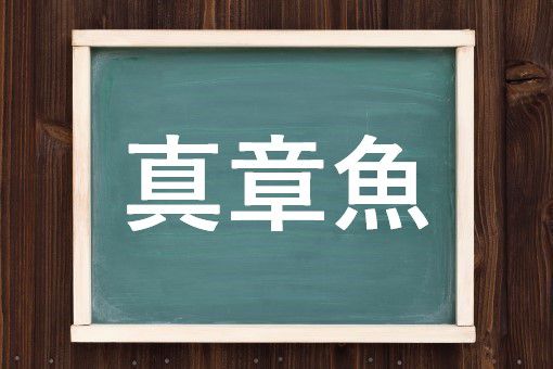 真章魚の読み方と意味 マダコ と しんしょうぎょ 正しいのは
