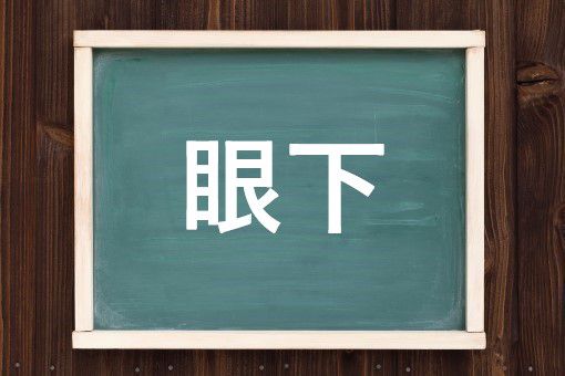 眼下の読み方と意味 がんか と めした 正しいのは