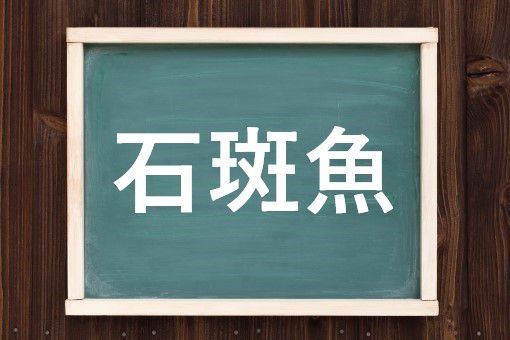 石斑魚の読み方と意味 うぐい と せきはんぎょ 正しいのは