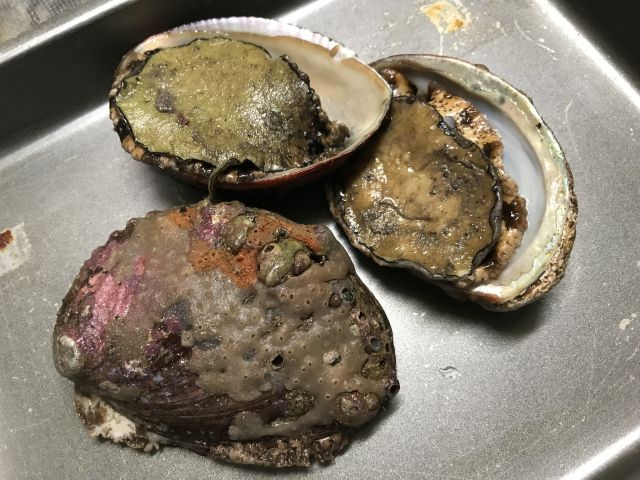 石決明の読み方と意味 あわび と せっけつめい 正しいのは