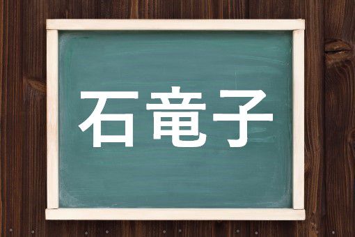 石竜子の読み方と意味 とかげ と せきりゅうし 正しいのは