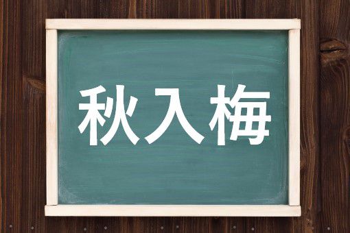 秋入梅の読み方と意味 あきついり と あきにゅうばい 正しいのは