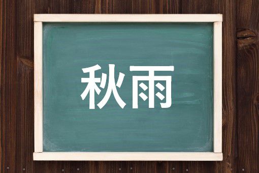 秋雨の読み方と意味 あきさめ と あきあめ 正しいのは