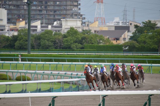 競馬の読み方と意味 けいば と きょうば 正しいのは