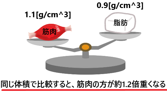 Bmiと体脂肪率の違いとは ダイエットをするならどっちが重要