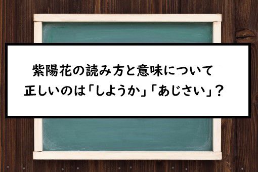 紫陽花の読み方と意味 しようか と あじさい 正しいのは