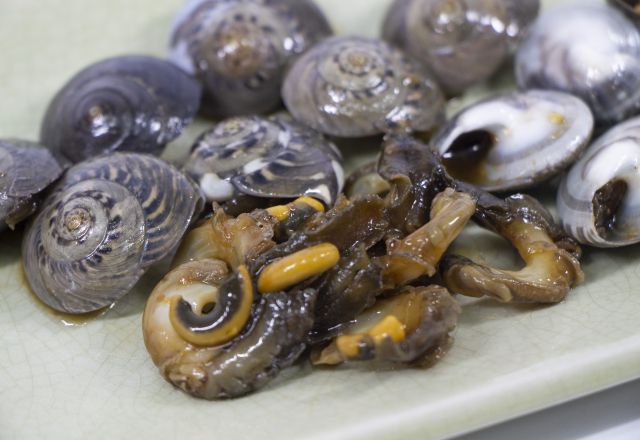 細螺の読み方と意味 きさご と しただみ 正しいのは