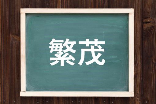 繁茂の読み方と意味 はんも と はんぼ 正しいのは