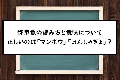 翻車魚の読み方と意味 マンボウ と ほんしゃぎょ 正しいのは