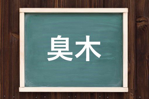 臭木の読み方と意味 くさぎ と しゅうぼく 正しいのは