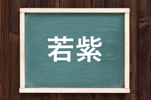 若紫の読み方と意味 じゃくし と わかむらさき 正しいのは