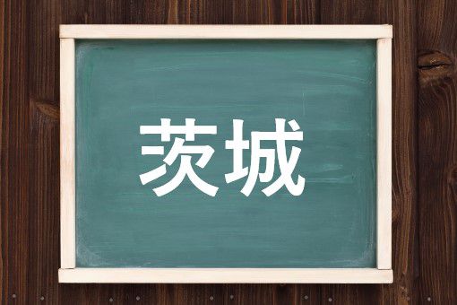 茨城の読み方 いばらぎ と いばらき 正しいのは