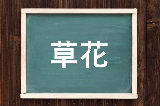 草花の読み方と意味 そうか と くさばな 正しいのは