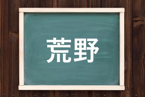 荒野の読み方と意味 こうや と あらの 正しいのは