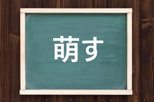 萌すの読み方と意味 もえす と きざす 正しいのは