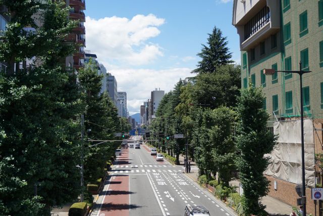 街道の読み方と意味 かいどう と がいどう 正しいのは