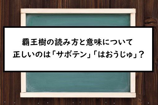 覇王樹の読み方と意味 サボテン と はおうじゅ 正しいのは