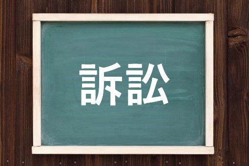 訴訟の読み方と意味 そしょう と そこう 正しいのは