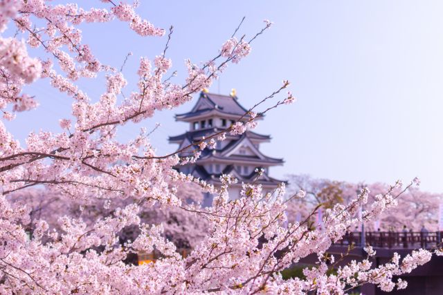 遠方