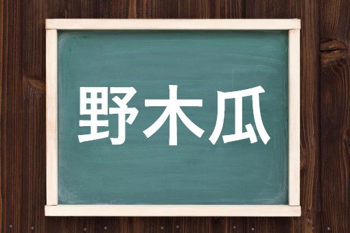 野木瓜の読み方と意味 むべ と のきうり 正しいのは