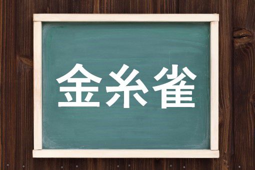 金糸雀の読み方と意味 カナリア と きんしじゃく 正しいのは