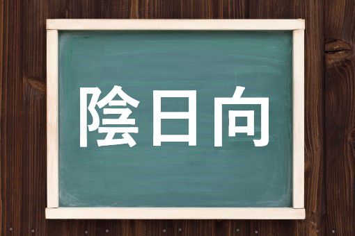 陰日向の読み方と意味 かげひなた と いんにちこう 正しいのは