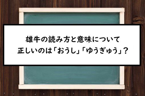 雄牛の読み方と意味 おうし と ゆうぎゅう 正しいのは 雄牛の読み方と意味 おうし と ゆうぎゅう 正しいのは