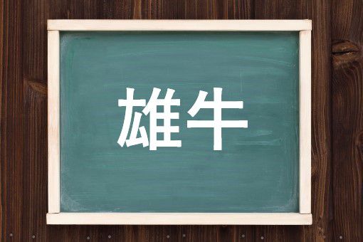 雄牛の読み方と意味 おうし と ゆうぎゅう 正しいのは 雄牛の読み方と意味 おうし と ゆうぎゅう 正しいのは