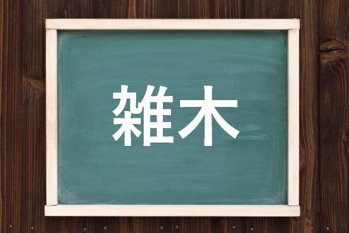 雑木の読み方と意味 ざつぼく と ざつもく 正しいのは