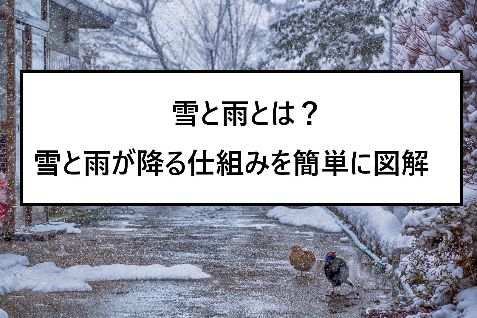 雪と雨とは 雪と雨が降る仕組みを分かりやすく図解