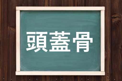 頭蓋骨の読み方と意味 とうがいこつ と ずがいこつ 正しいのは