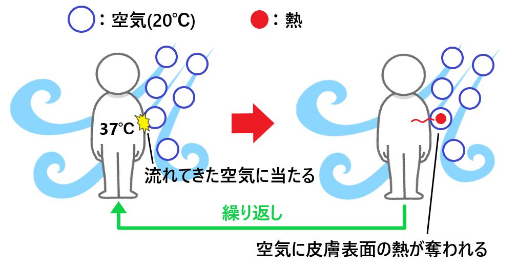 なぜ風で体感温度が下がるのかをわかりやすく図で解説！