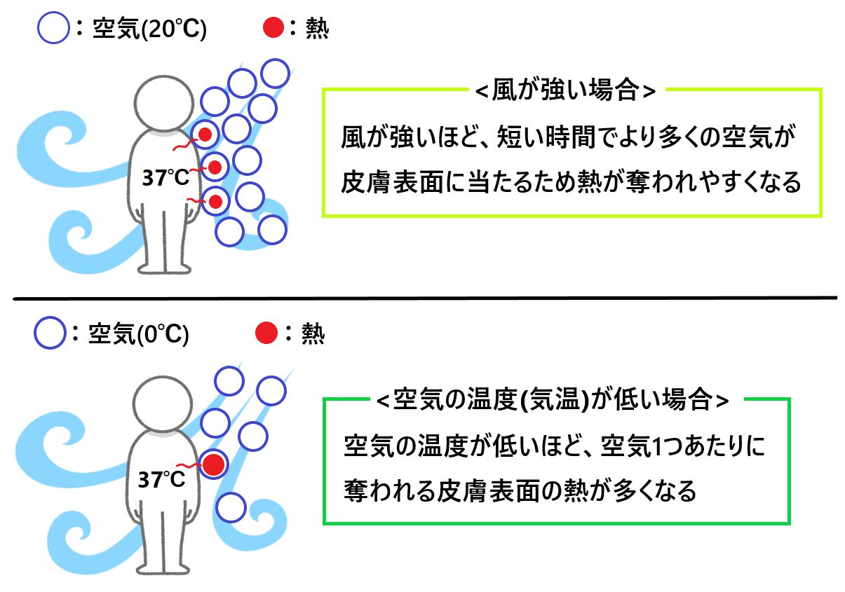 なぜ風で体感温度が下がるのかをわかりやすく図で解説！