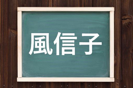 風信子の読み方と意味 ヒヤシンス と ふうしんし 正しいのは