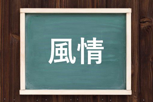 風情の読み方と意味 ふうじょう と ふぜい 正しいのは