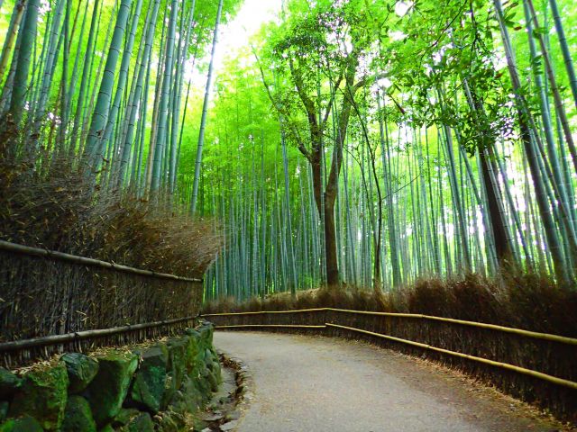 風情の読み方と意味 ふうじょう と ふぜい 正しいのは