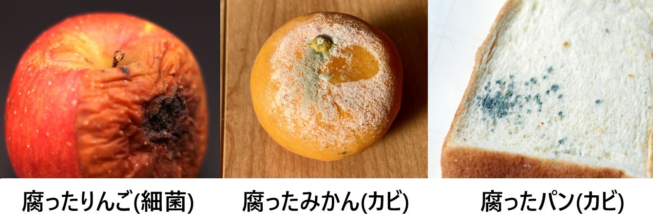 酸化と腐るの違いとは？酸化した食品は食べたらダメなの？